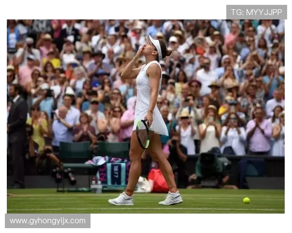 李娜与毛瑞斯莫巅峰对决回顾：网球场上的传奇之战与激情碰撞