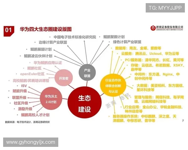 武汉篮球队技术分析与战术创新的深度探讨与展望